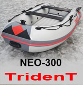Надувная моторная лодка ENERGY N-300 Trident