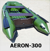 Моторная лодка ENERGY Aeron 300