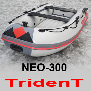 Моторная лодка нднд ENERGY N-300 TRIDENT